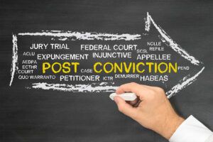 Impacts of Felony Conviction