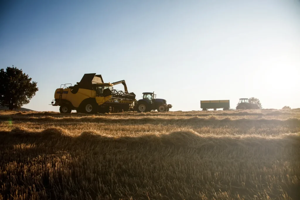 Hazy dawn harvest field with yellow combine harvester working in soft morning light